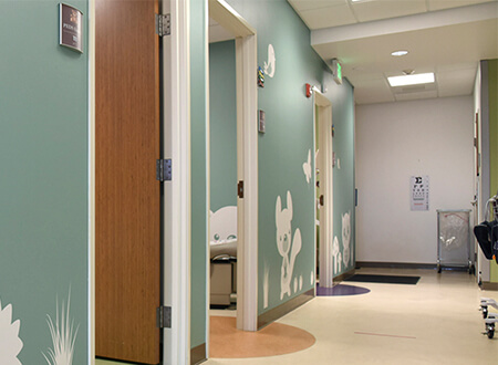 Pediatrics